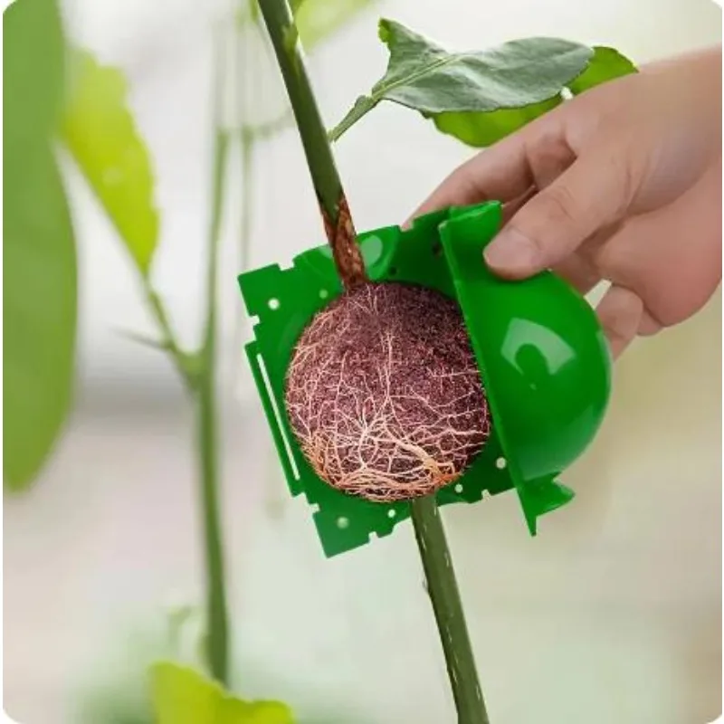 Plant rooting equipment high-pressure propagation ball garden grafting box plants seed tray  hydroponic  seedling tray