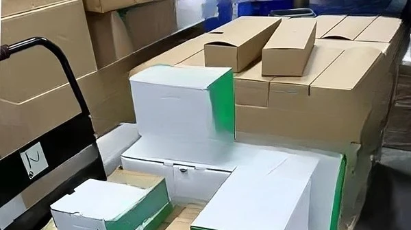 industrial automation motion control Lexium 62 dual drive LXM62DD15D21000