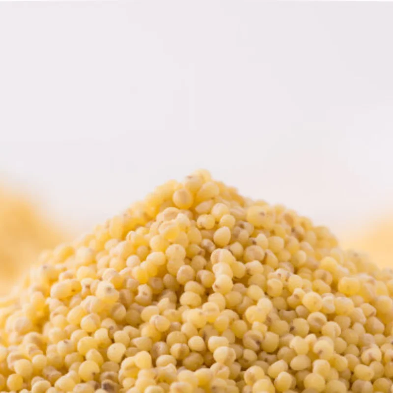 WLtoys 144016 144018 RC Parti di automobili telecomandate Verde Car Shell Cover Ad alta velocità 144016-2997 Car Shell Viola