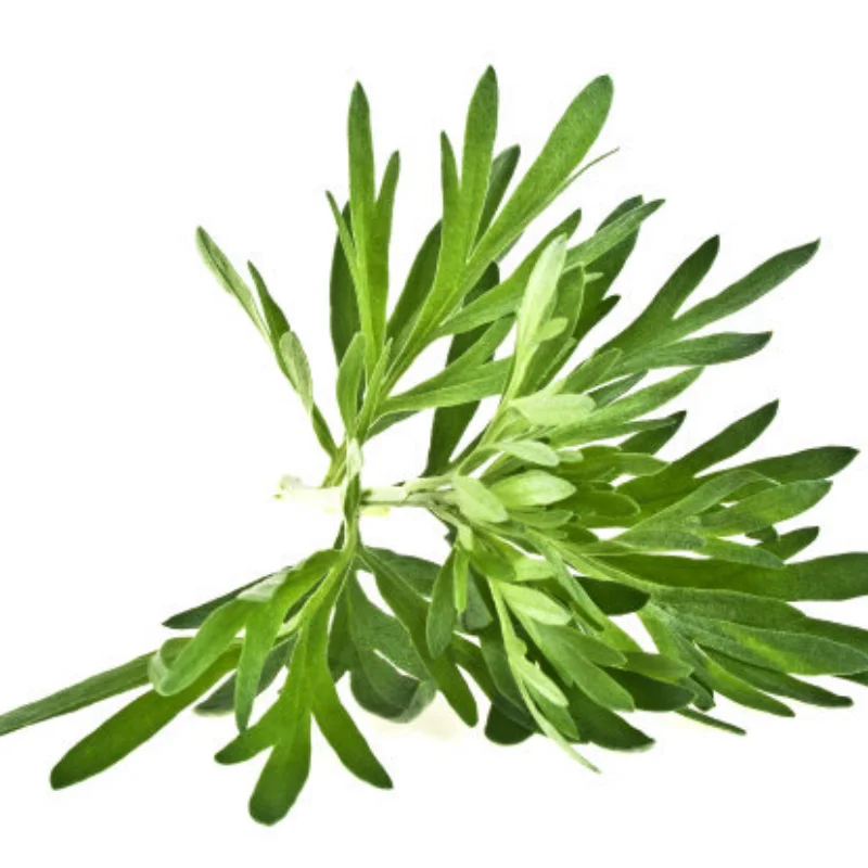 

For 1:8 1:10 Trax Slash Huanqi 727 E-revo 116mm Tire Rc Car Model Short Card General Sand Tires Upgrade Tire Adapter 12/14/17mm