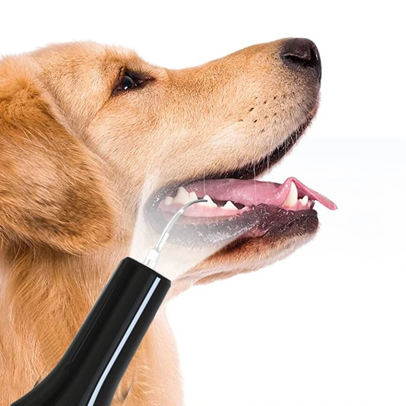 Pet Teeth Cleaning Tools Dog Toothbrushes Dog Supplies Pet Grooming Toothbrush Dental Stain Cleaning Pen Professional Products