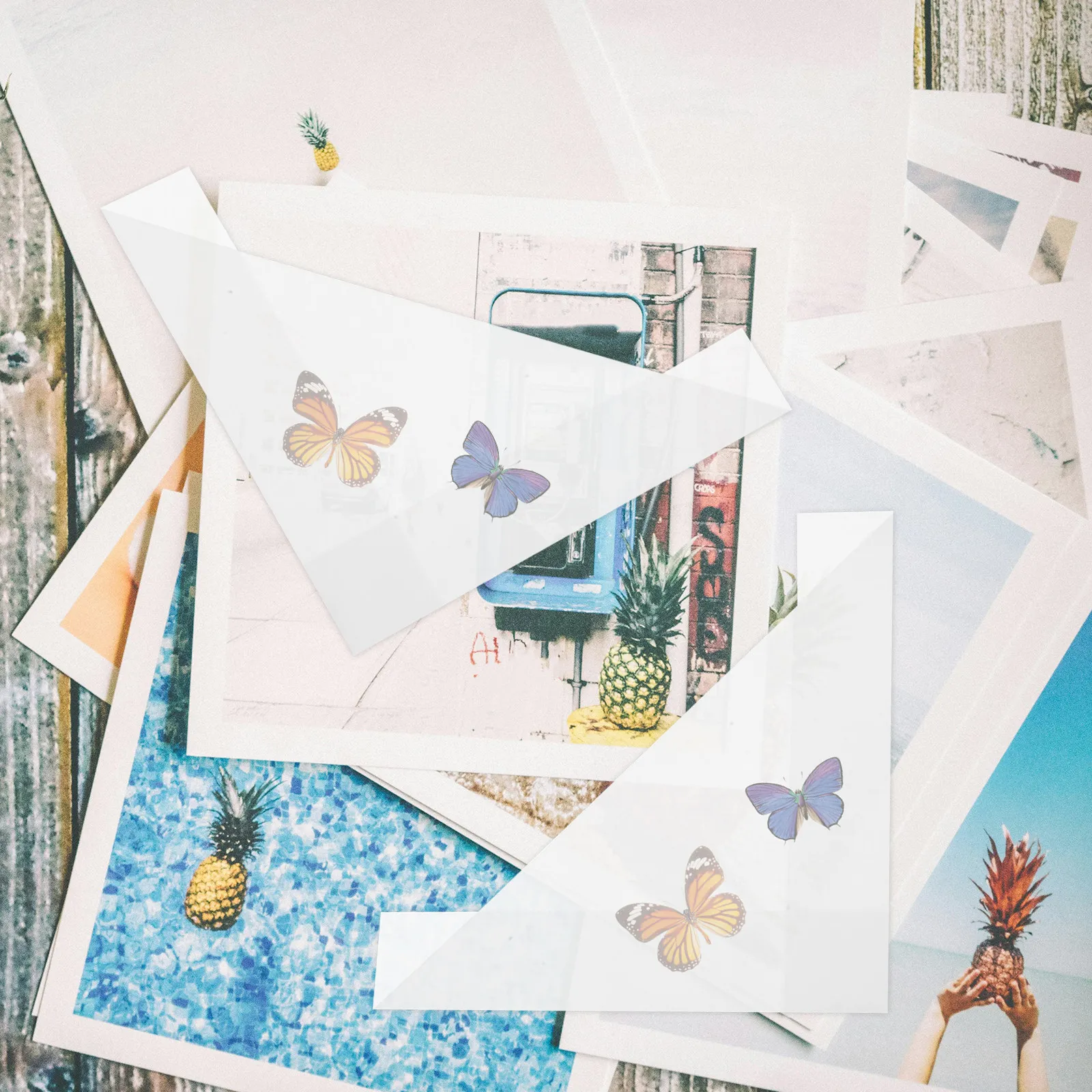 20Pcs Specimen Storage Pouches Butterfly Collection Bags Triangle Paper Temporary Storage Bags for Scientific Study and