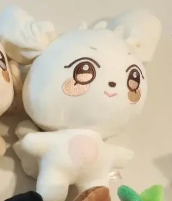 Kpop Aniteez Kawaii Plüschtiere Zimmerdekoration Hongjoong Seonghwa Yunho Yeosang San Ming Wooyoung Jongho Plüsch