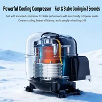 Climatiseur portable IOG‑1 5200 BTU, unité de climatisation solaire, climatiseur 220V pour camping-car et camping. 2
