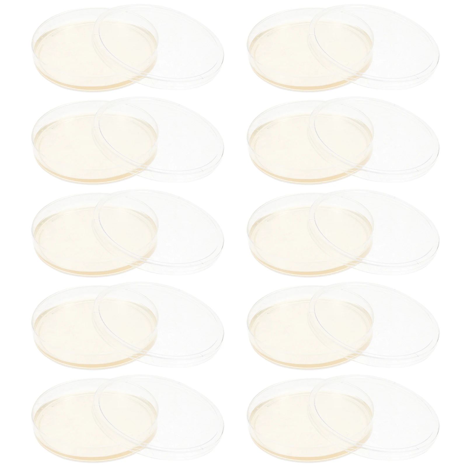 Placas de petri de ágar pré-vertidas portáteis, placas de petri de ágar, projetos científicos, prato de cultura de laboratório, teste de petri de plástico selado para crianças com 10 peças