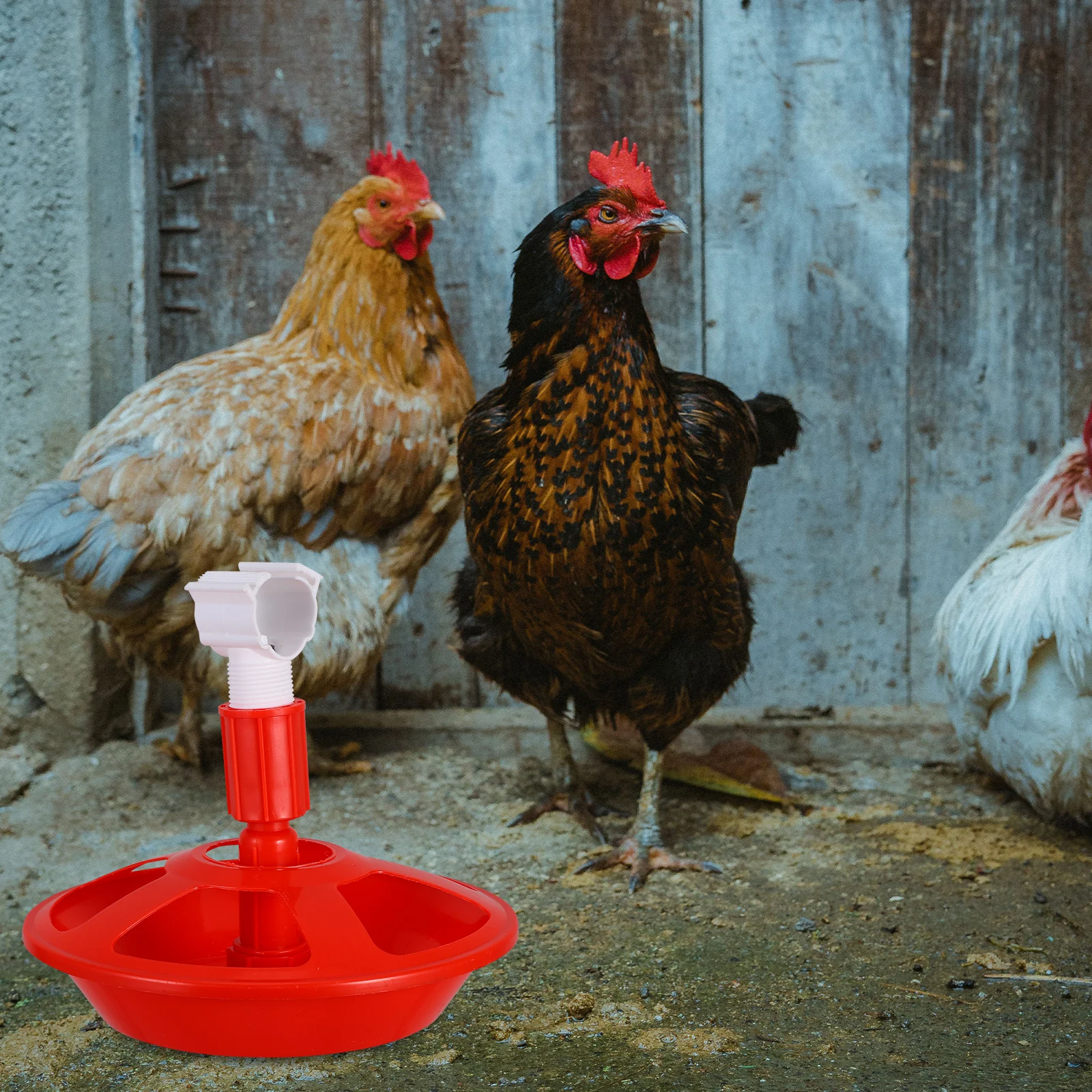 

Automatic Chicken Waterer Drinking Fountain Poultry Dispenser System Baby Feeder chicks quail waterer small chicken waterer bird