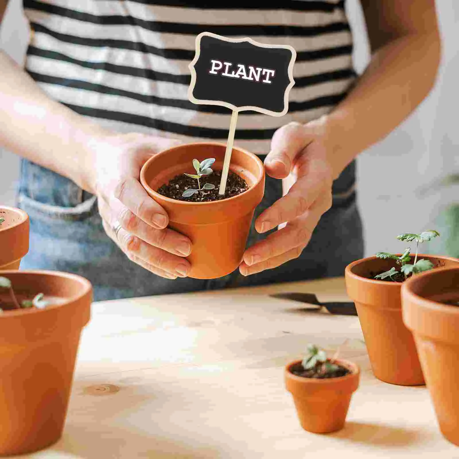 10 Pcs Mini Chalkboard Signs Sticker Chalkboards Wooden Blackboard Office Price Tags