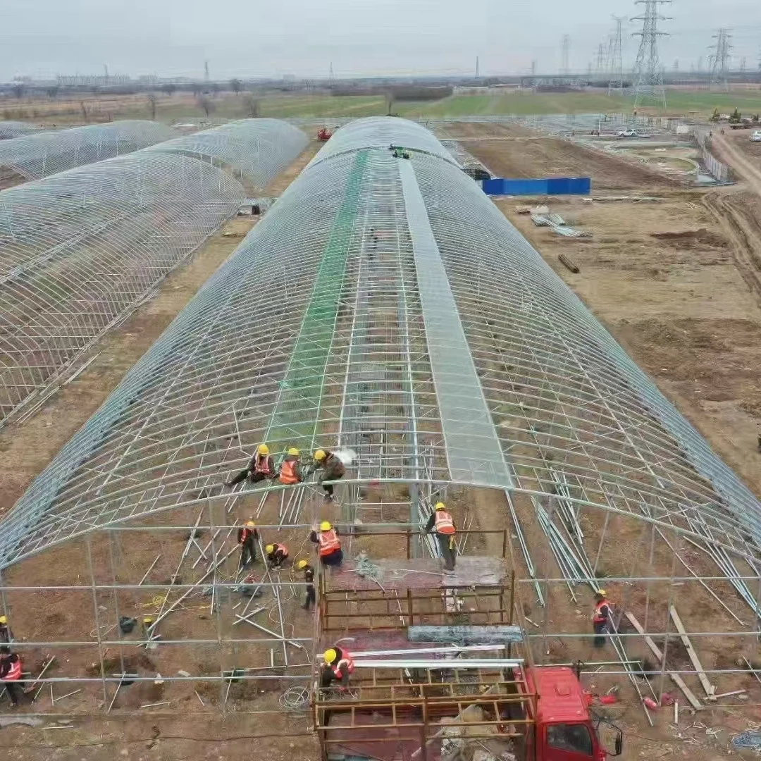 20258x30m Agriculture Tomato Greenhouse Frames Plastic Film Single Span Tunnel Greenhouses