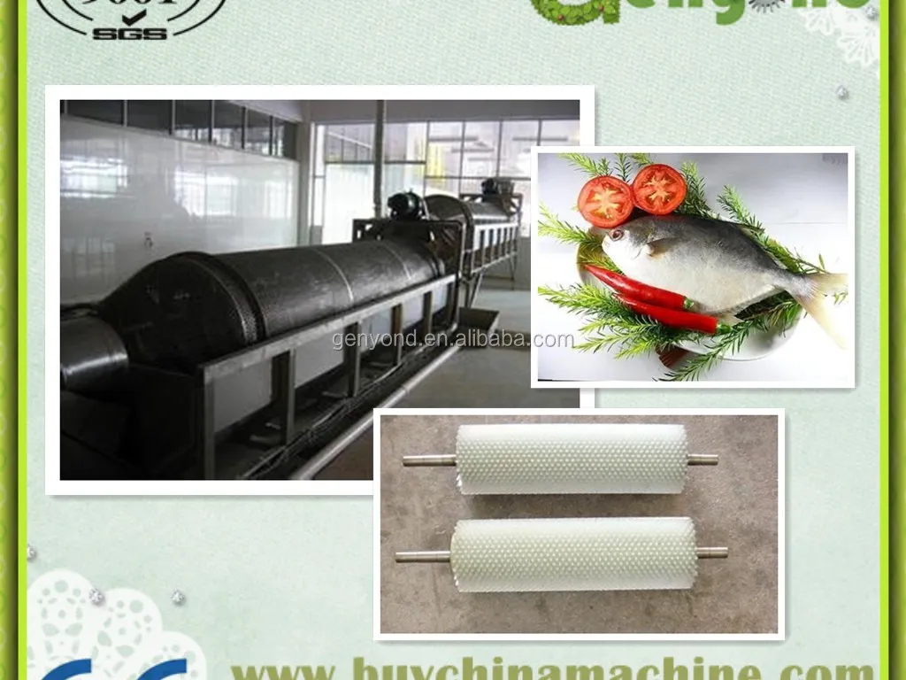 자동 어류 세척기/물고기 세척 기계/물고기 비늘 제거기 해상 운송