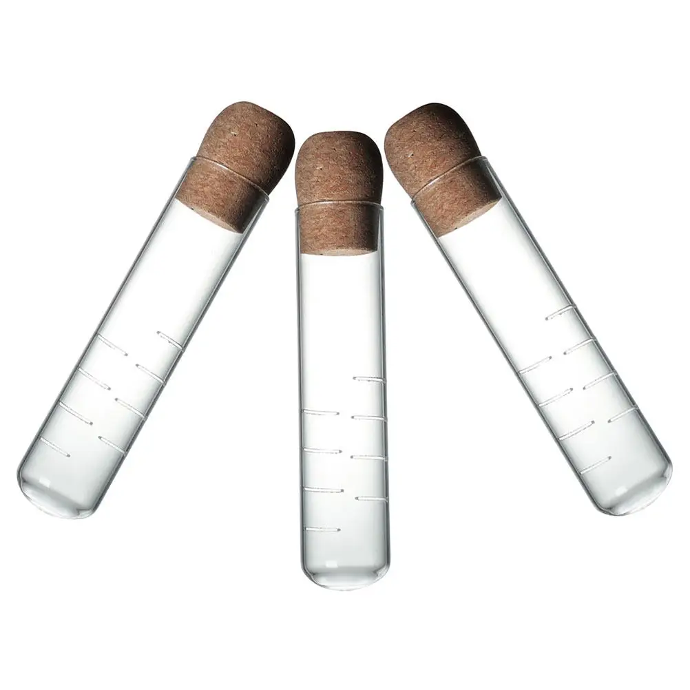 3Pcs Glass Tea Infuser Set Transparent Test Tube Style Loose Leaf Steeper Fine Mesh Tea Strainer for Use Reusable