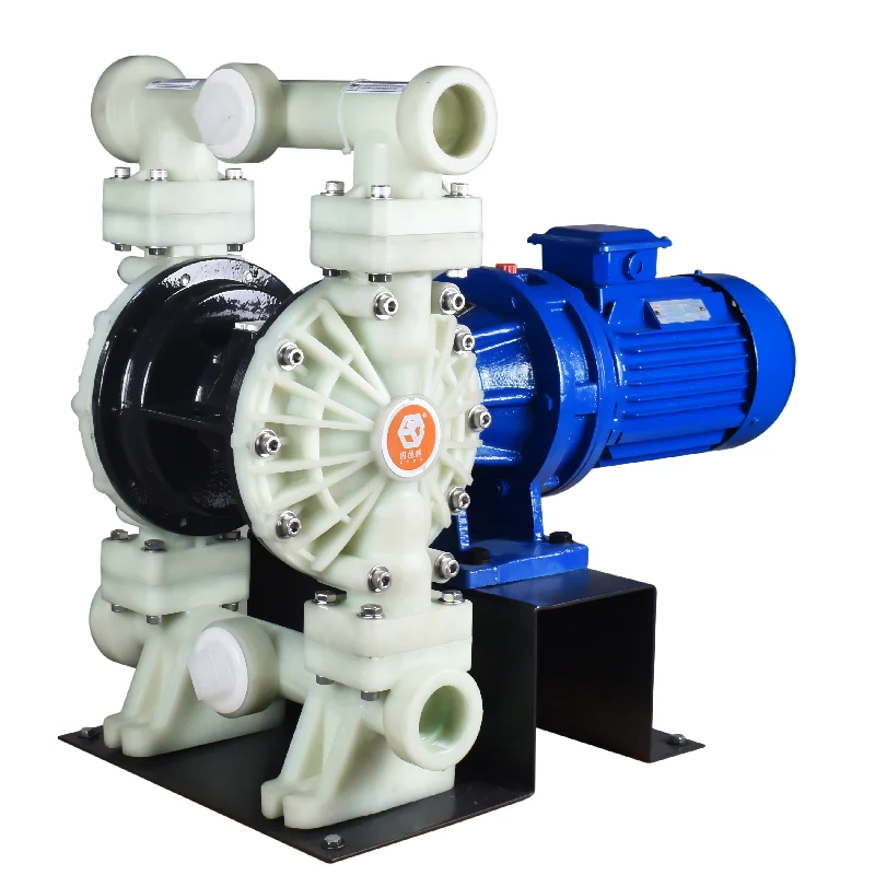 

Electric Pumps 2-1/2 Inch Electric Diaphragm Pump Customizable Water Diaphragm Pump