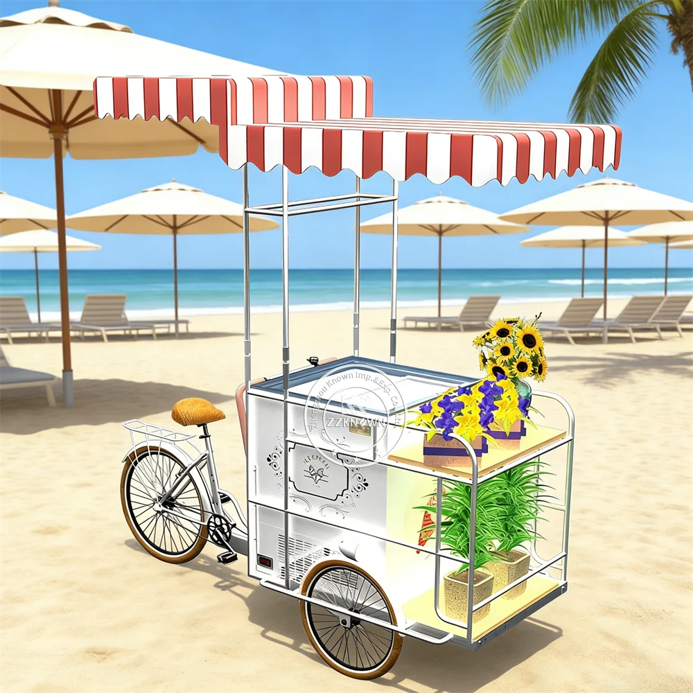 Electric Ice Cream Cart Modern Snack Kiosk Beverage Coffee Dessert Outdoor Street Portable Snack Push Cart For Festival