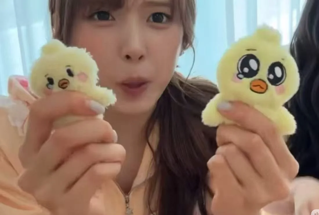 6 szt./zestaw Kpop Idol NMIXX Uroczy Pluszowy Brelok Zawieszka Najlepszy Przyjaciel LILY HAEWON SULLYOON BAE JIWOO KYUJIN Prezent dla Fanów