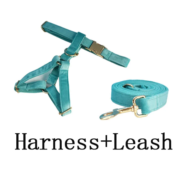 Conjunto de collar y correa para perros de terciopelo con piedra turquesa, placa de identificación grabada a medida, suministros para mascotas, correa para perros de terciopelo 40_voghion.com