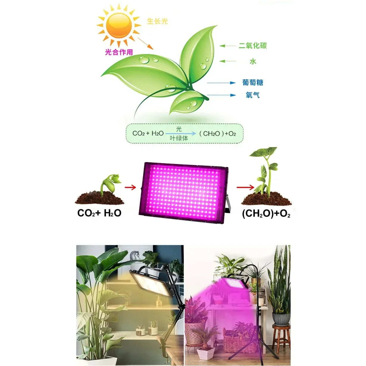 EU園芸用LED成長ランプ,220V, 50 W, 100 W, 300W,屋内植物照明,花の成長を促進,EUプラグ付き