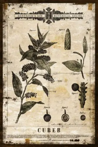 Hendrick's Gin Botanicals Cubeb Advert, Vintage Aged Look New Metal Sign