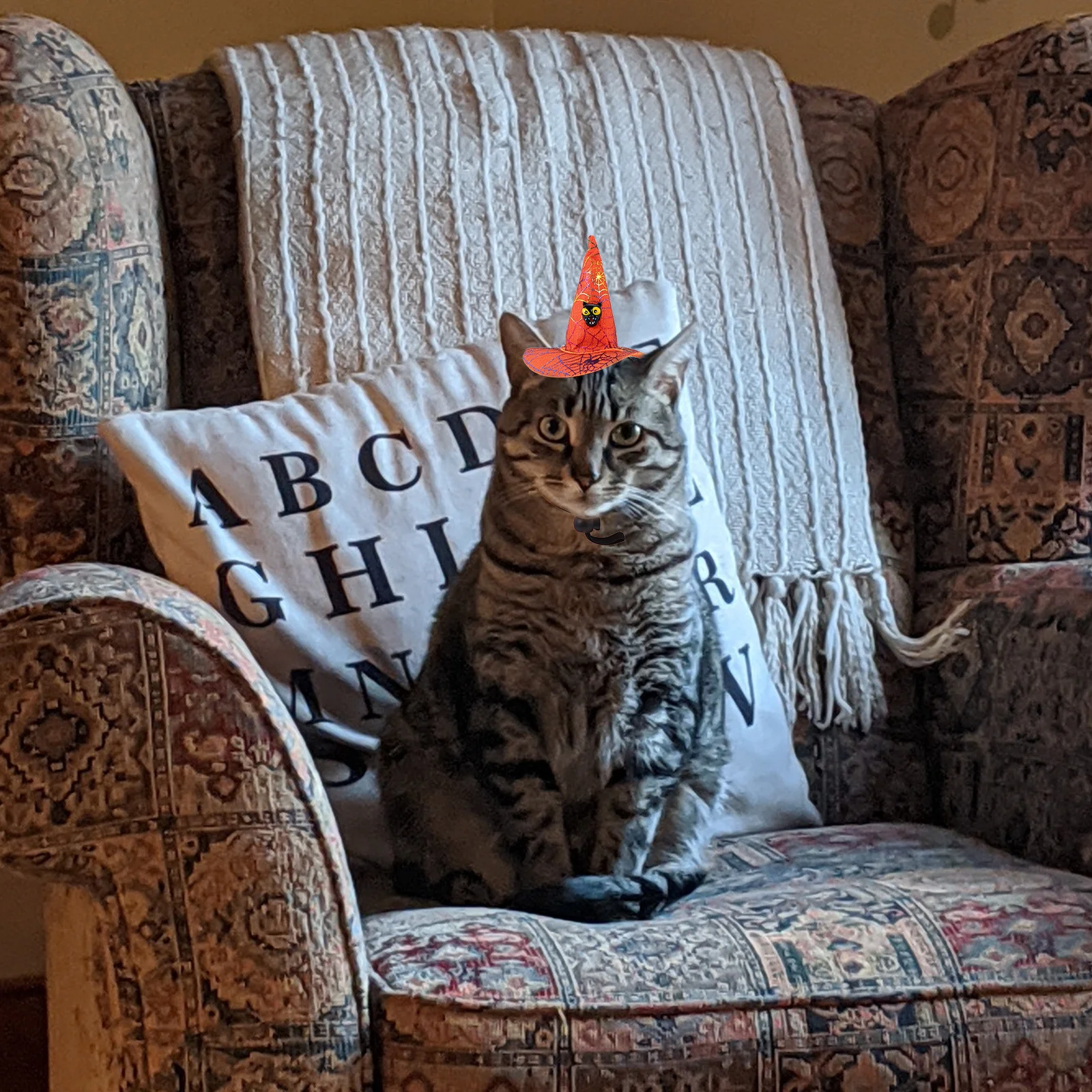 

2Pcs Pet Witch Hat Headdress Halloween Themed Dog Cat Hair Accessory Festival Party Decor Photography Prop Premium Quality