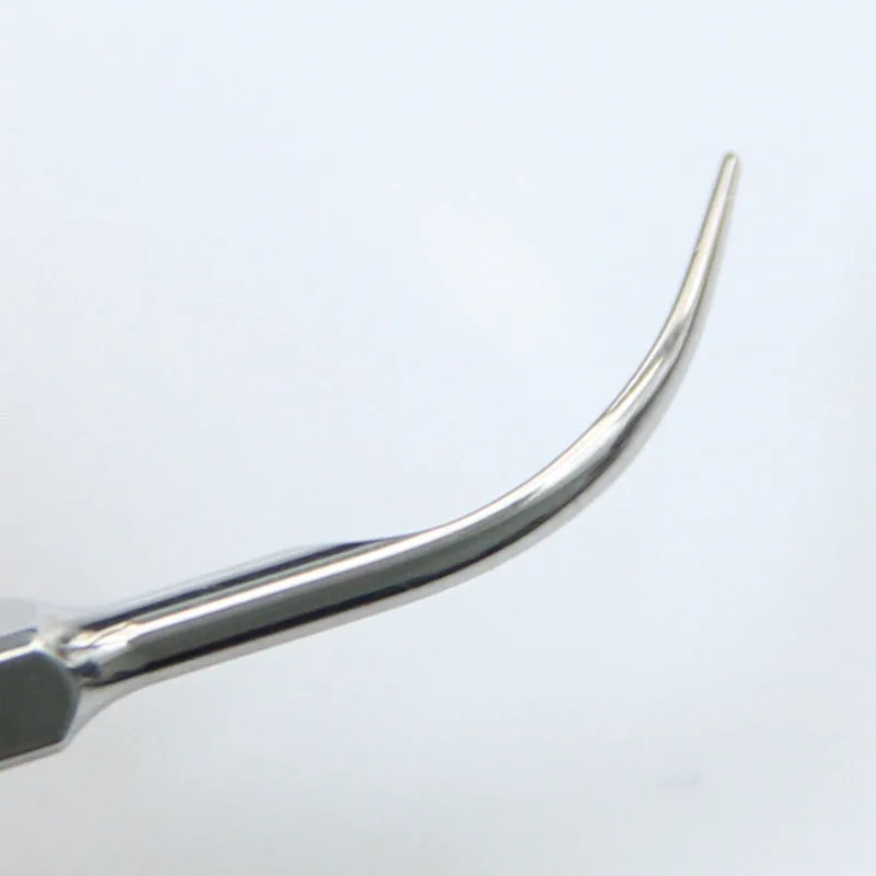 5PCS Dental Ultraso…