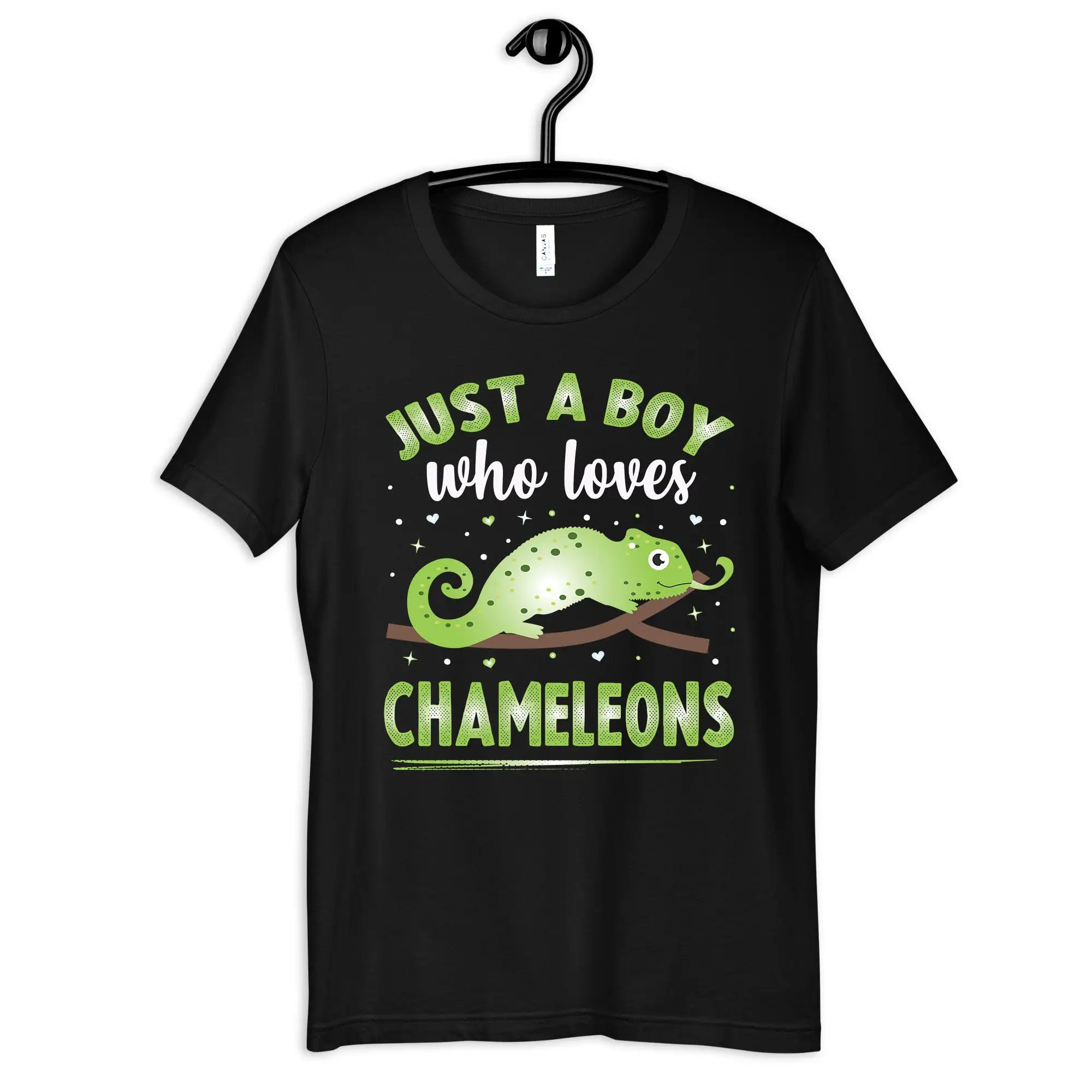 Boy Who Loves Chameleons T Shirt Cute Chameleon SweaT Kids Toddler Baby Clothing