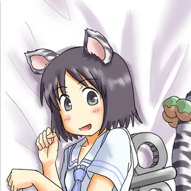 

Anime Dakimakura Pillow Shinonome Nano 2-Side Print Pillowcase Hugging Body Cushion Cover Otaku Waifuristmas Decoration