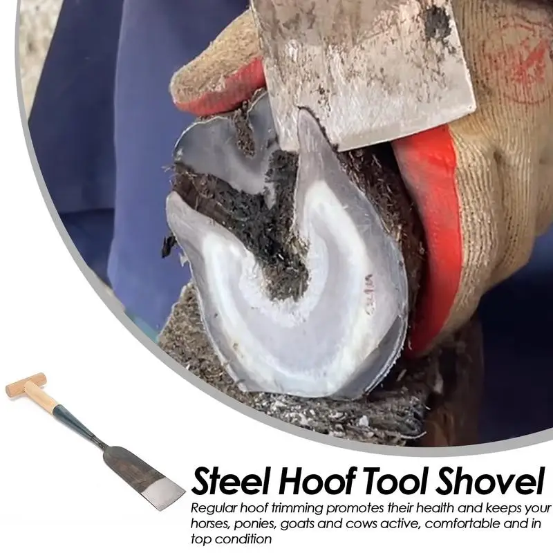 Goat Hoof Shovel Versatile Hoof Trimming Tools Horseshoe Trimmer Donkey Hoof Trimmer With Ergonomic Handle Comfortable Horseshoe