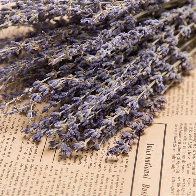 Dried Lavender Flowers 250-300 Stems 100% Natural Dry Lavender Bunches for Home Decoration, Home Fragrance, Handmade Soap Flower