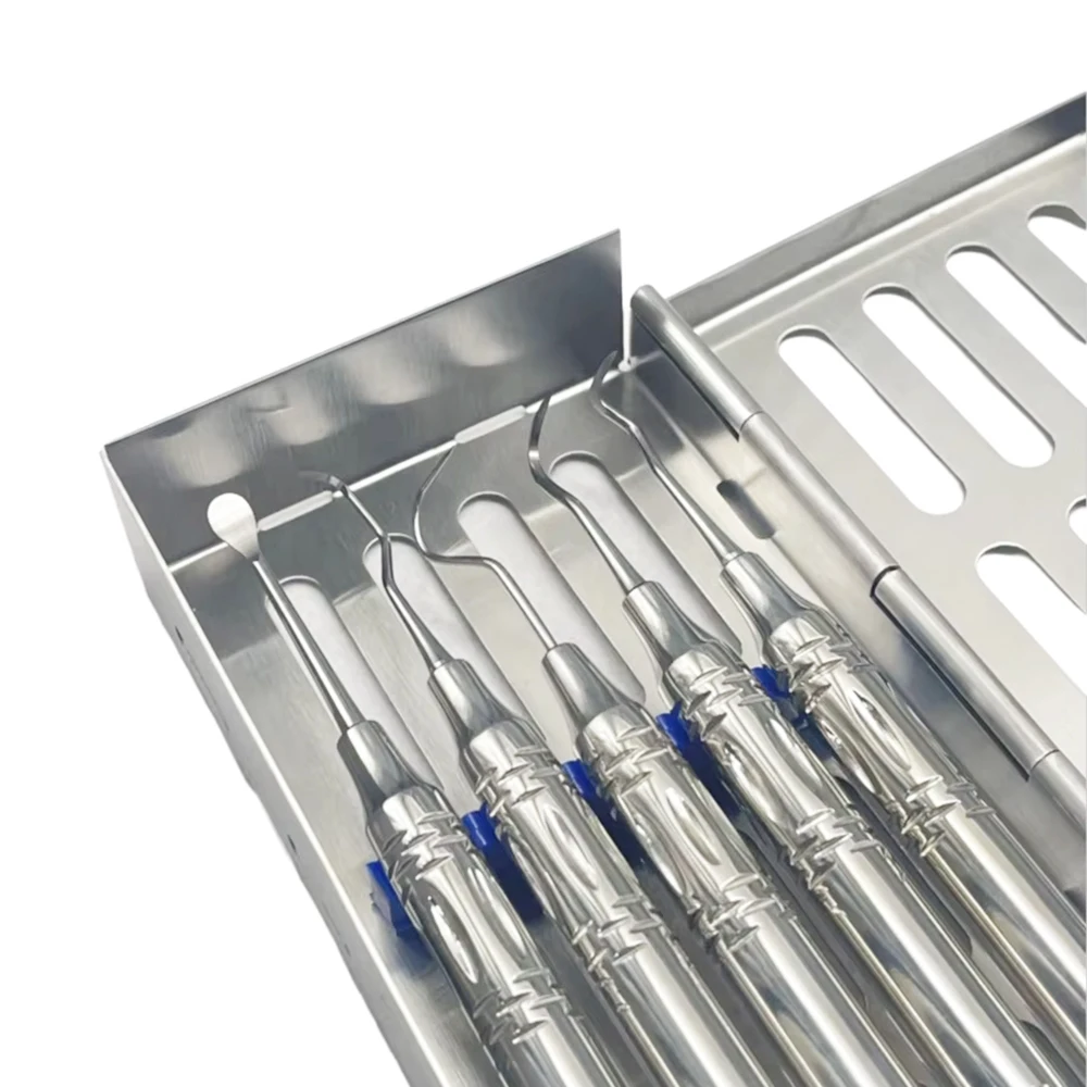 5-in-1 Professionelles Zahnpflege-Set für Hunde & Katzen - Edelstahl-Zahnsteinentferner, Sonde mit Sterilisationsbehälter – Detail 2