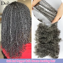 Human Hair Braiding Hair Afro Kinky Curly Bulk Human Hair Micro Locs Bulk For Braiding 4C Salt And Pepper Braids Hair Extensions