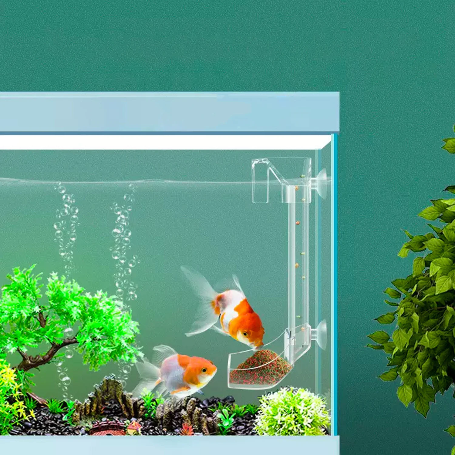 Tubo di alimentazione in acril - Aquarium Fish Variety recensione e prezzo