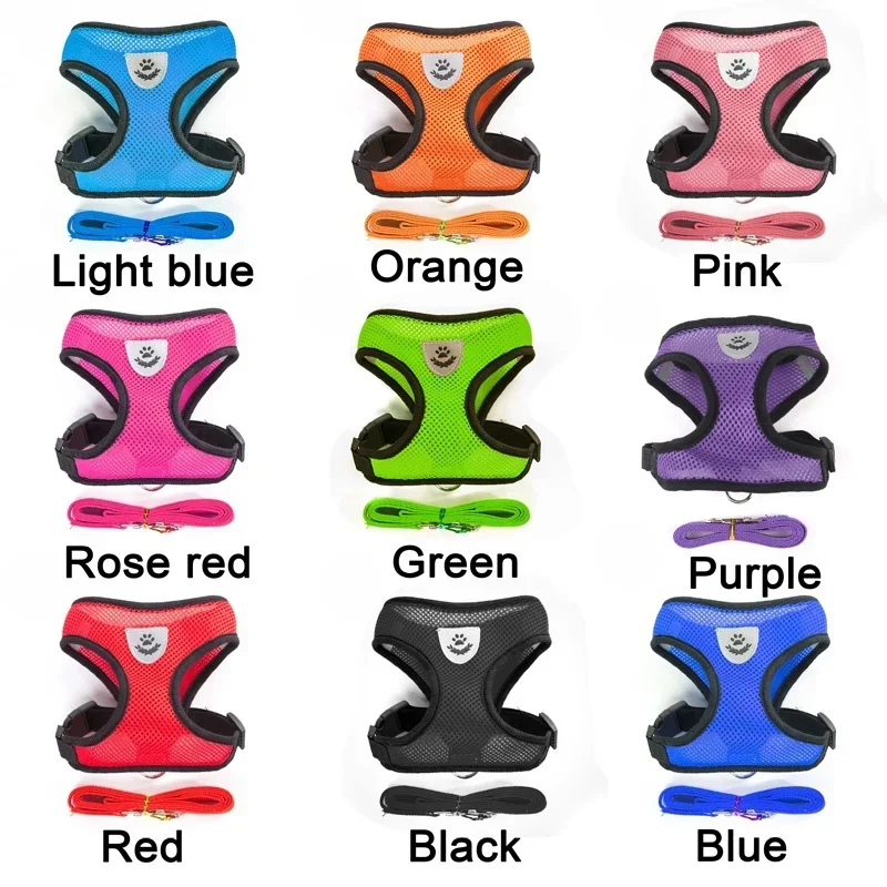 Thumbnail 2 - #16 Top Puppy Leads Picks for Every Budget