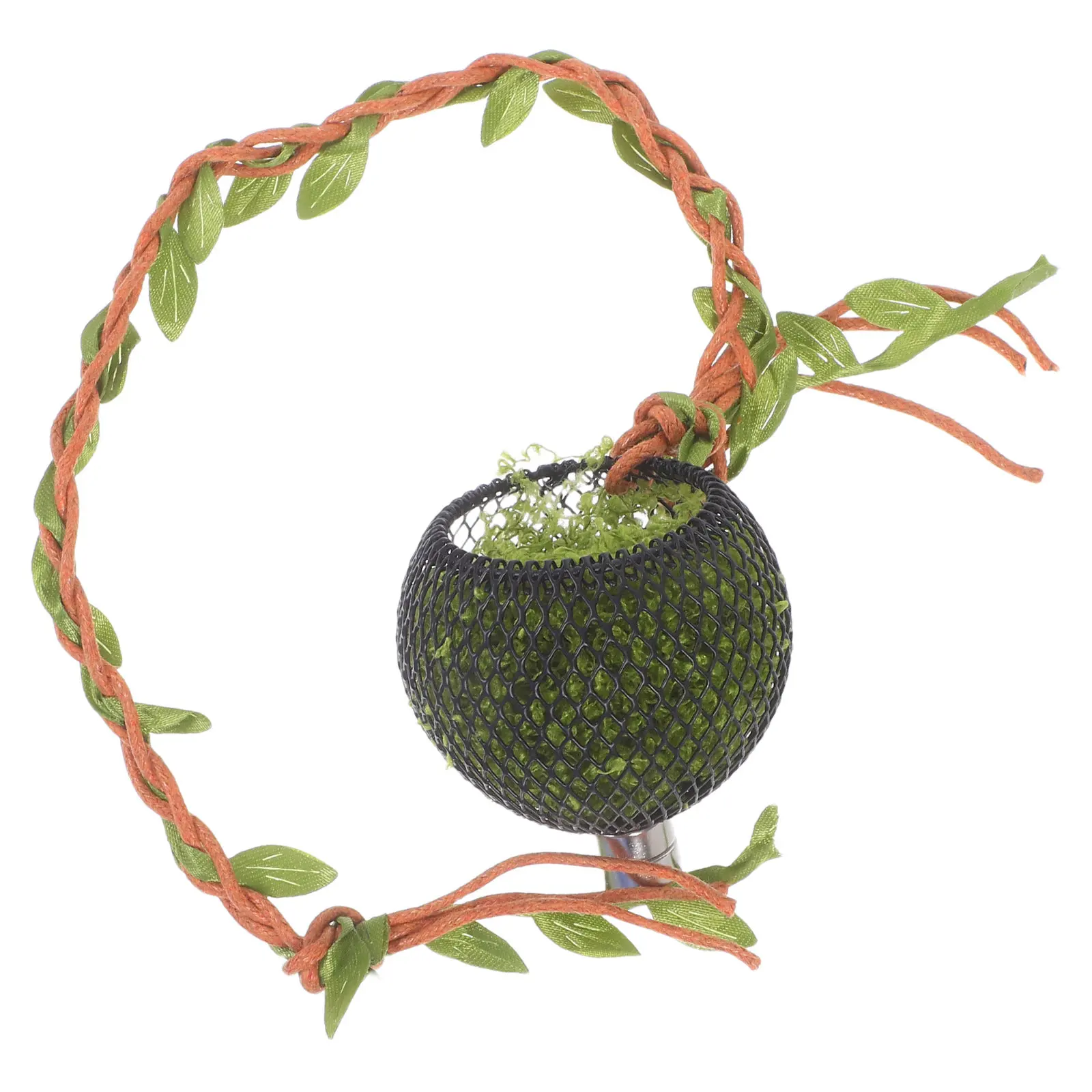 Mini Jumping Spider Shelter Hide Enclosure with Natural Tree Vine Climbing Elements for Arboreal Spider Habitat Enrichment