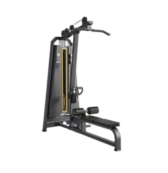 Fitness Equipment Commercial Machines Strength Training Pin Loaded Lat Pulldown/Low Row 2 In 1 Dual Function Machine