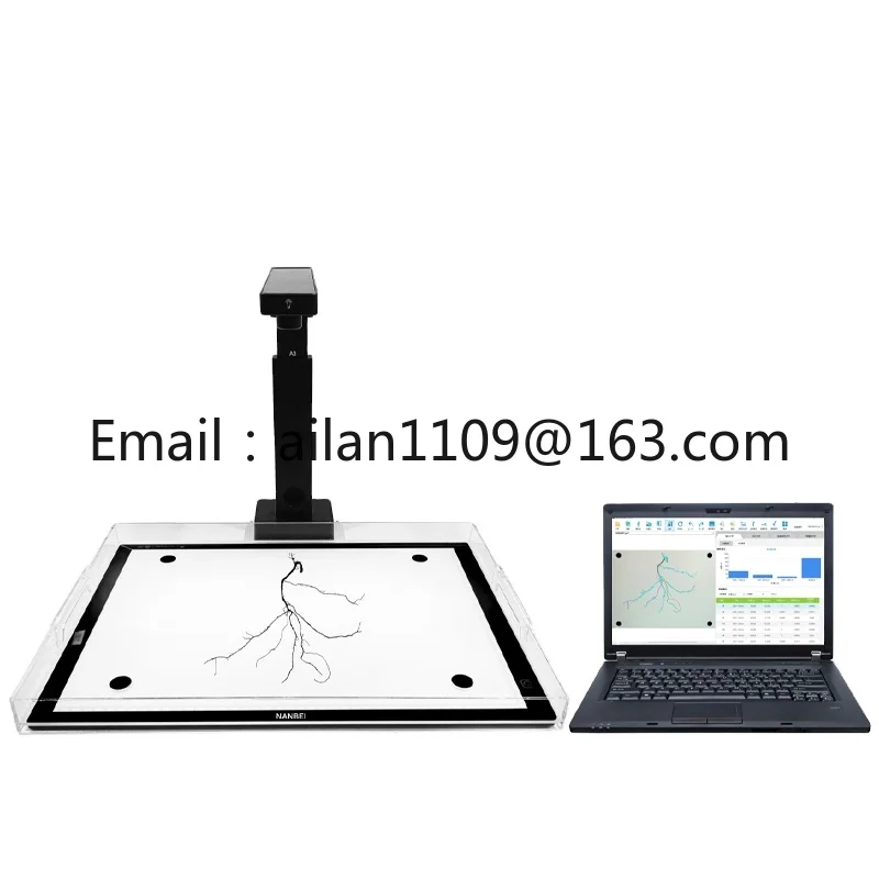 Plant Root Phenotype Related Parameters Measurement Root Analyzer