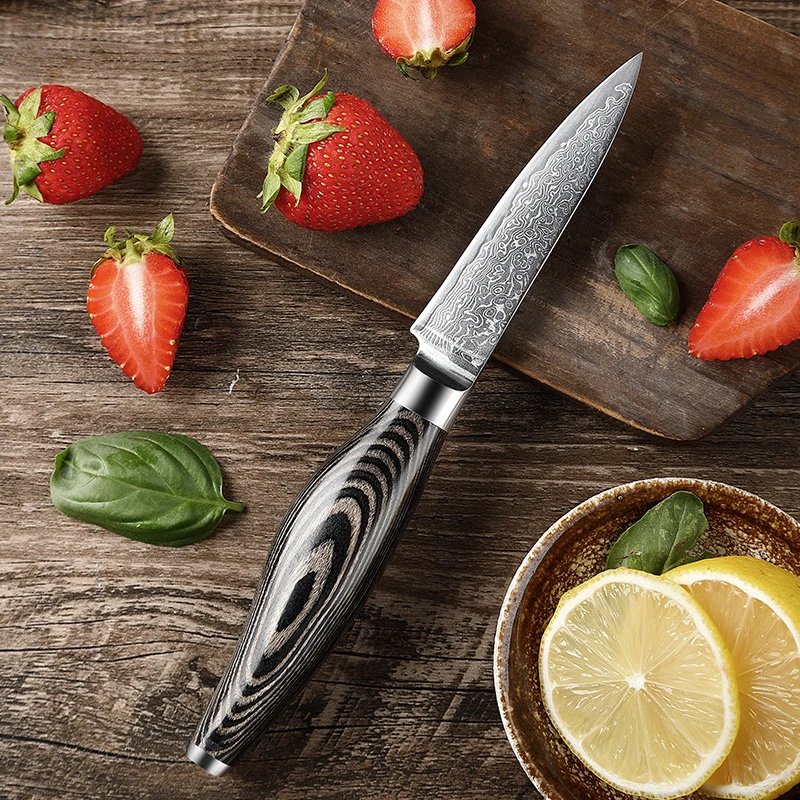 

TJ POP 3.5 Inch Paring Knife 67 Layer Damascus Steel Fruit knife Kitchen Knife Chef Cutter Vegetable Peeler Utility Cooking Tool