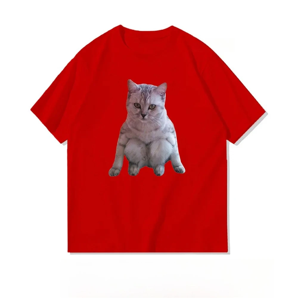 A Cat Sitting on Its Haunches T-Shirt Woman Casual Summer Graphic T Shirts Creative Streetwear O-neck Funny Shirt Y2k Tee Tops
