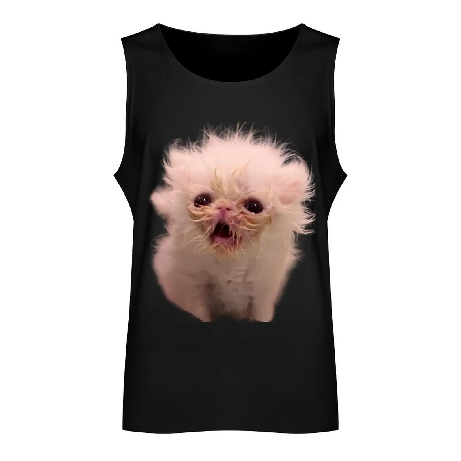 Wisp Cat Meme Tank Top Male vest t-shirt for men