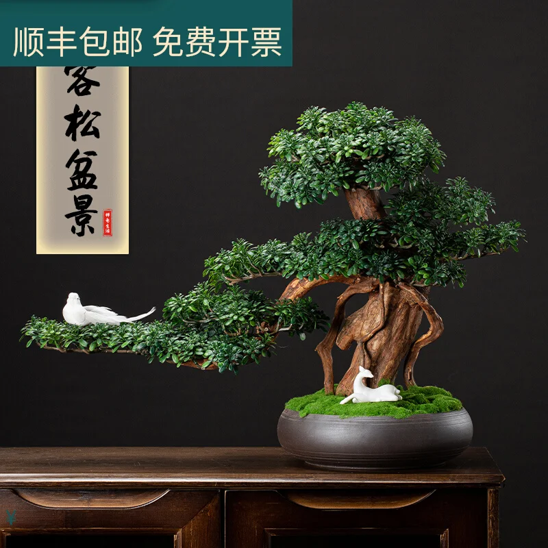 pine decoration hotel restaurant living room porch desktop landscape Chinese fake tree bonsai simulation green soft installation