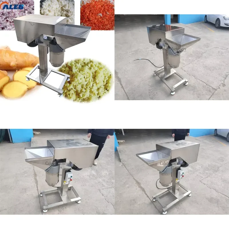 SFW Certificate Easy Operation Ginger Garlic Paste Machine, Cost-effective for Small Business Kitchen