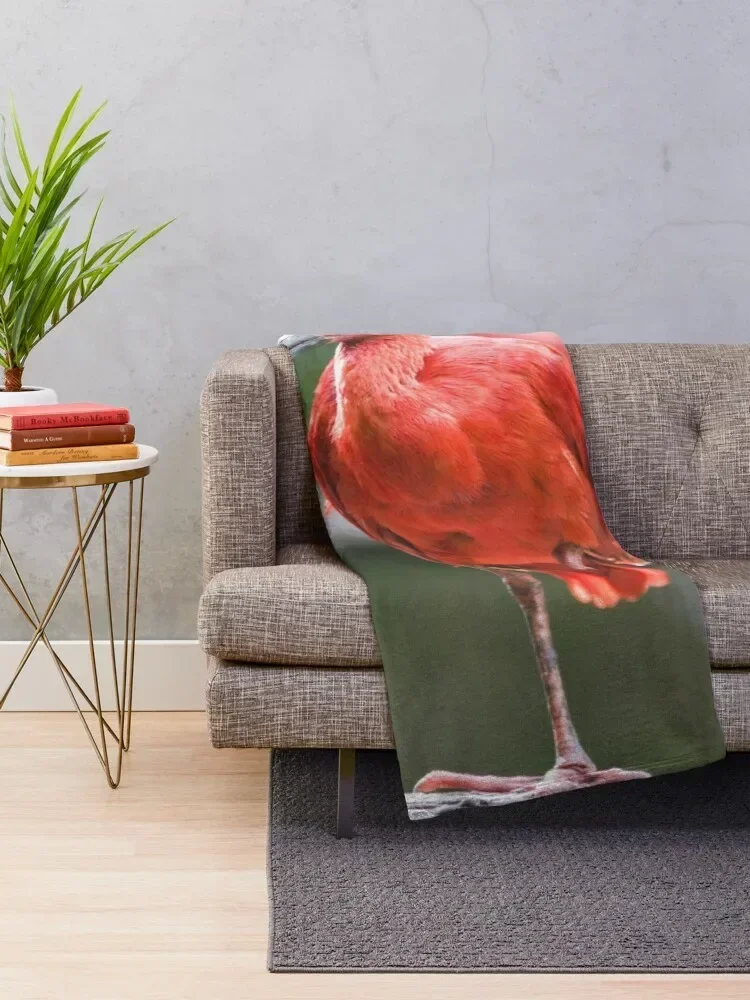 Tropical Scarlet Ibis Throw Blanket heavy to sleep For Decorative Sofa Bed linens Shaggy Blankets