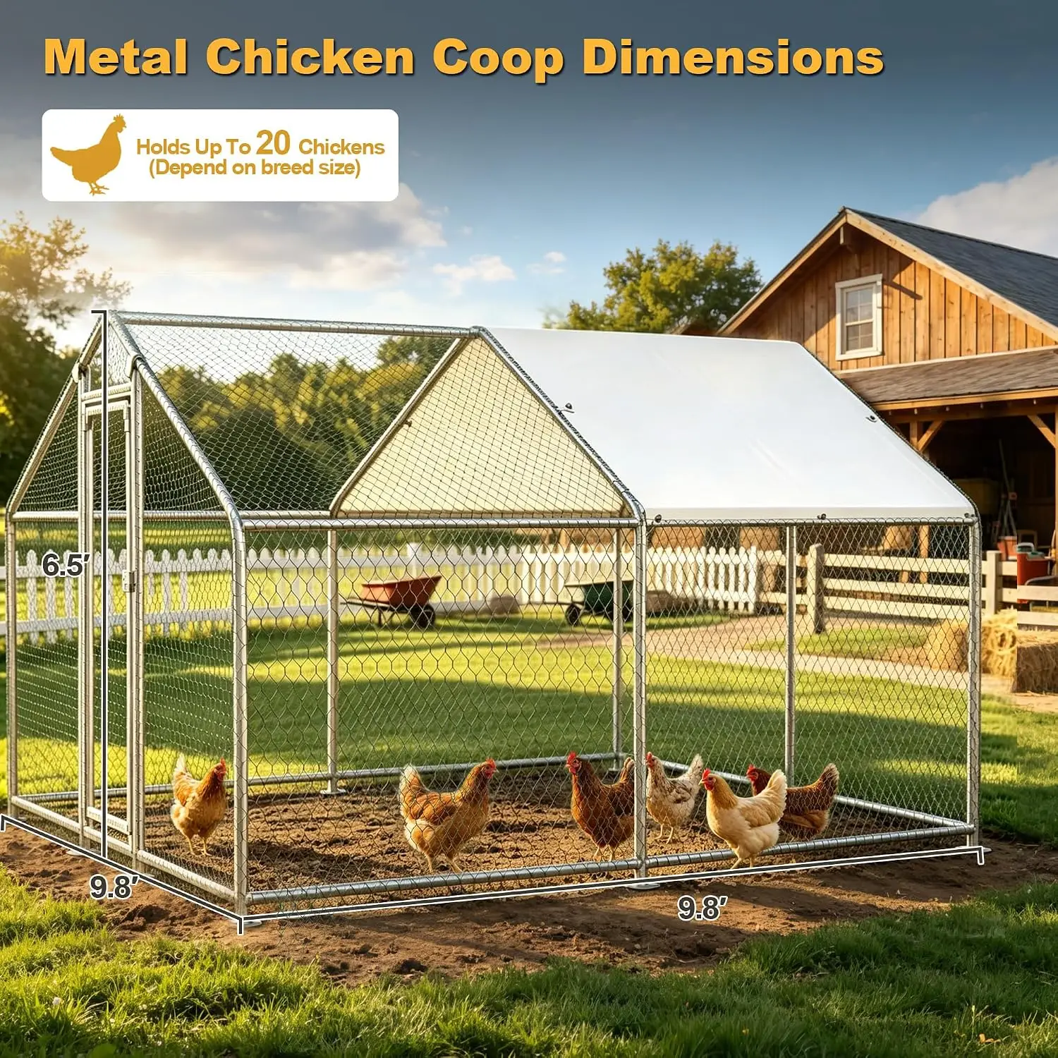 Large Metal Chicken Coop 10x10 Walk-in for 20 Chickens Predator-Proof, Customized