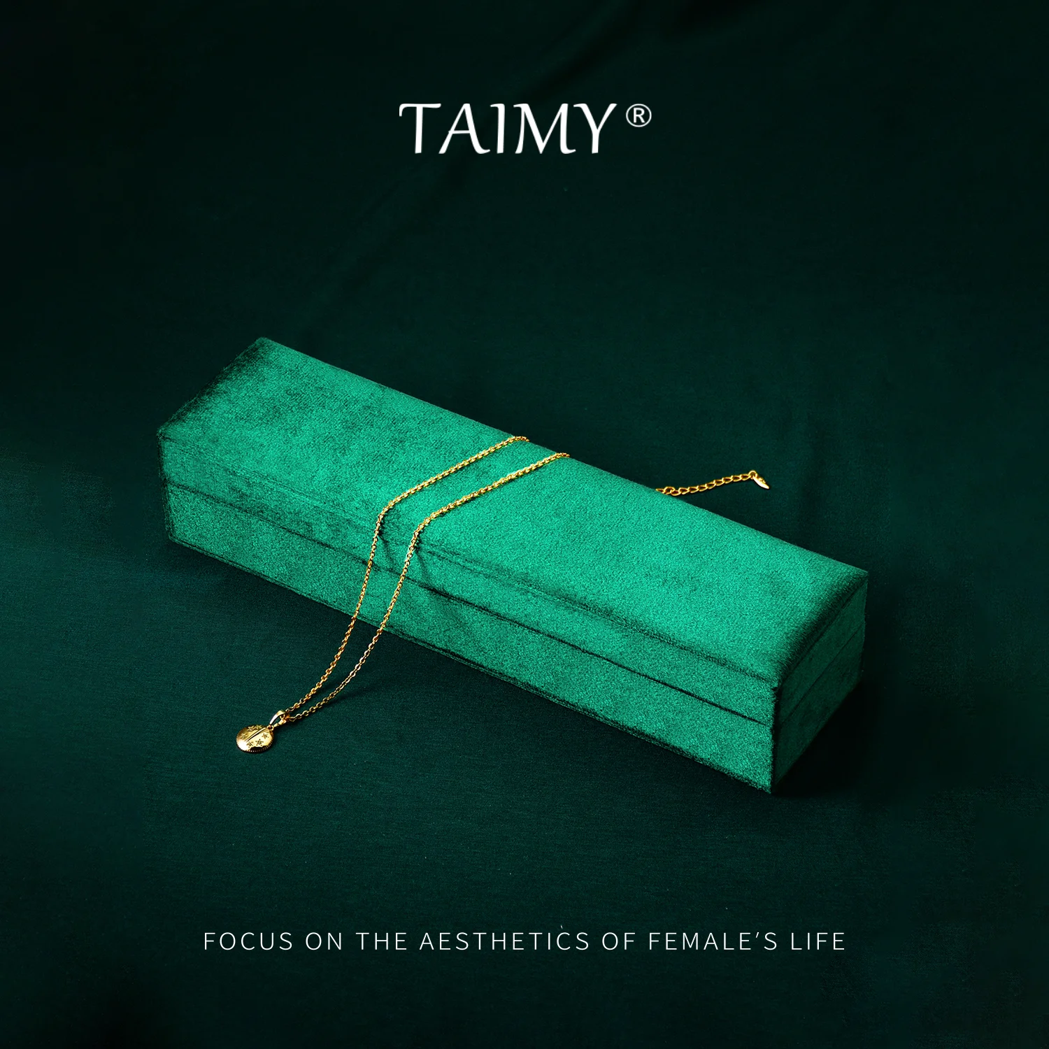 TAIMY Green Velvet Jewelry Box Travel Rings necklaces Storage Box With Lid Custom Logo Jewelry Case Jewelry Organizer Display