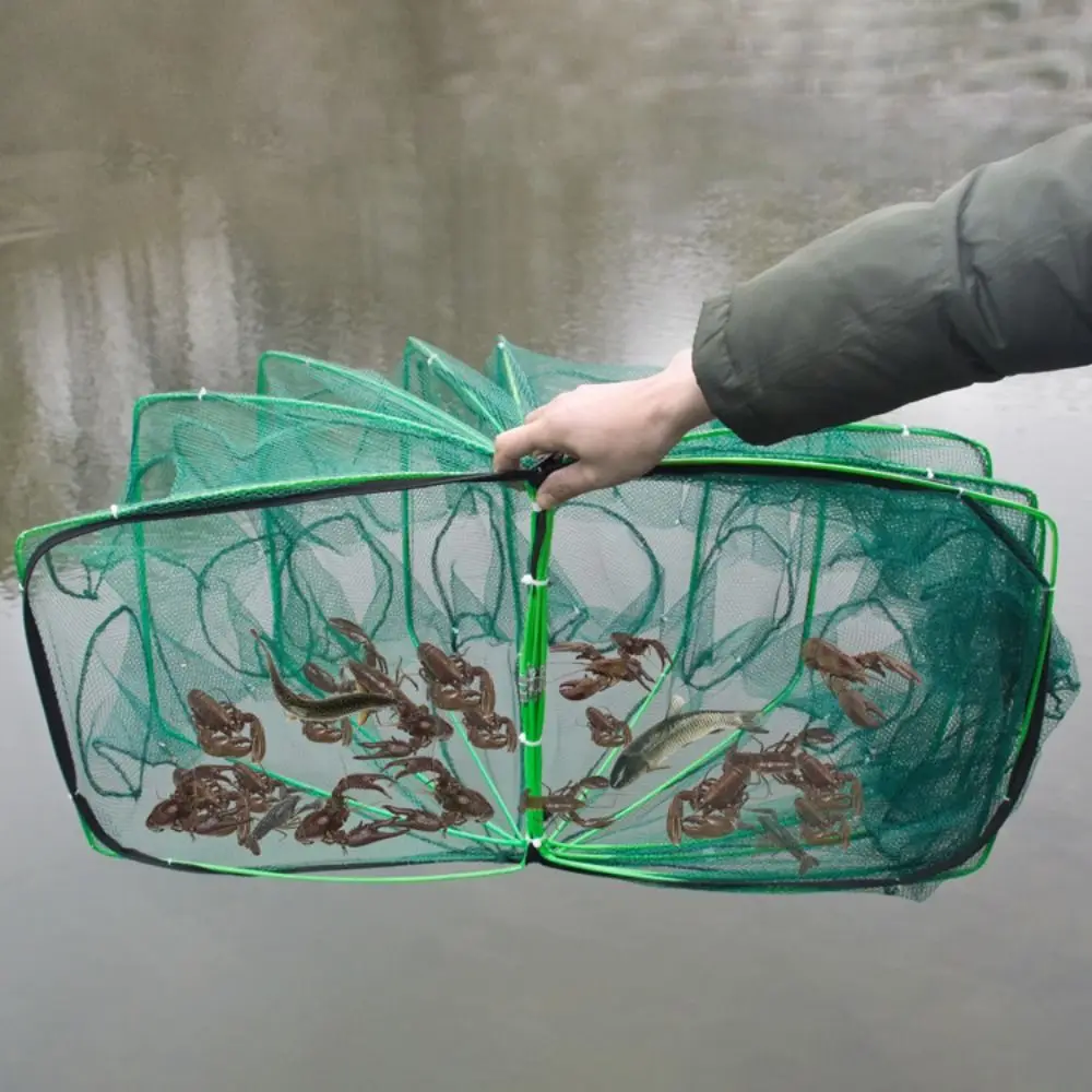 Thumbnail 4 - #28 Latest Fishing Traps Offers