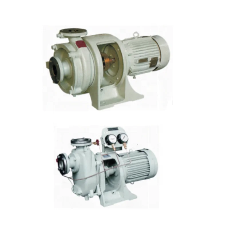 Marine Ship Electric Bilge Ballast Self-priming Centrifugal Pump