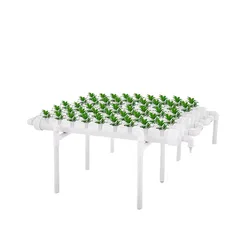 Hydroponic Piping Site Grow Kit, Deep Water Culture Planting Box, Gardening System, Nursery Pot, Hydroponic Rack, 220V, 54 Holes