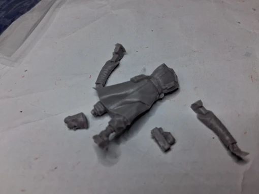 Buyer photo of this resin kit