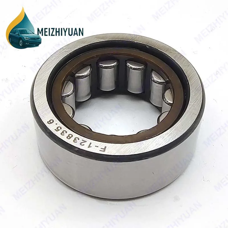 

F-123835.6 Cylindrical Roller Bearing F123835.6 22.375x41x17mm