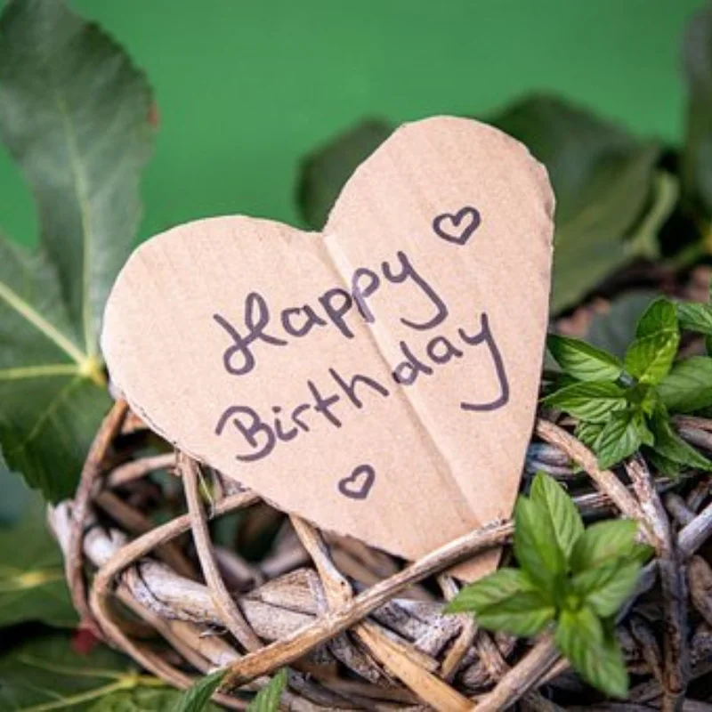 

MJX Hyper Go H12Y H12Y + металлический передний бампер 1/12 RC гусеничный автомобиль, обновленные детали, аксессуары