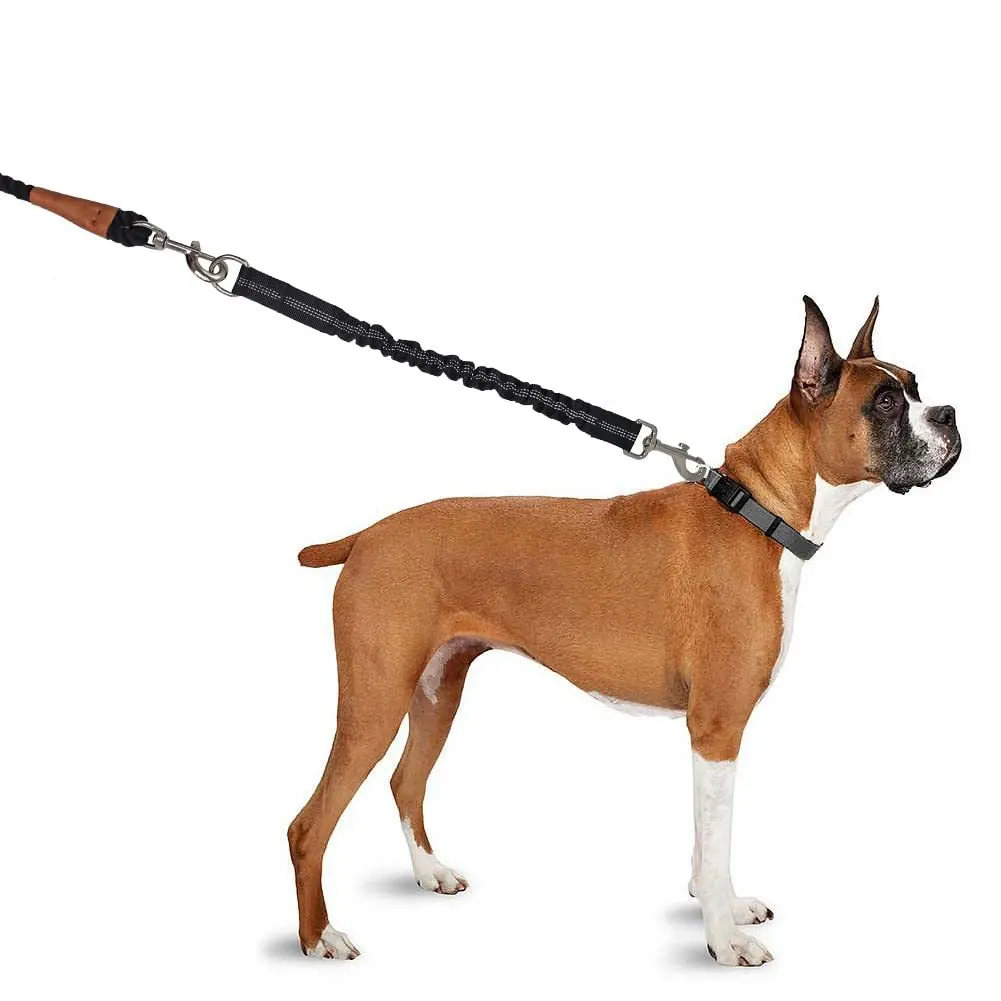 Thumbnail 2 - #63 Top Dog Rope Toys Picks for Every Budget