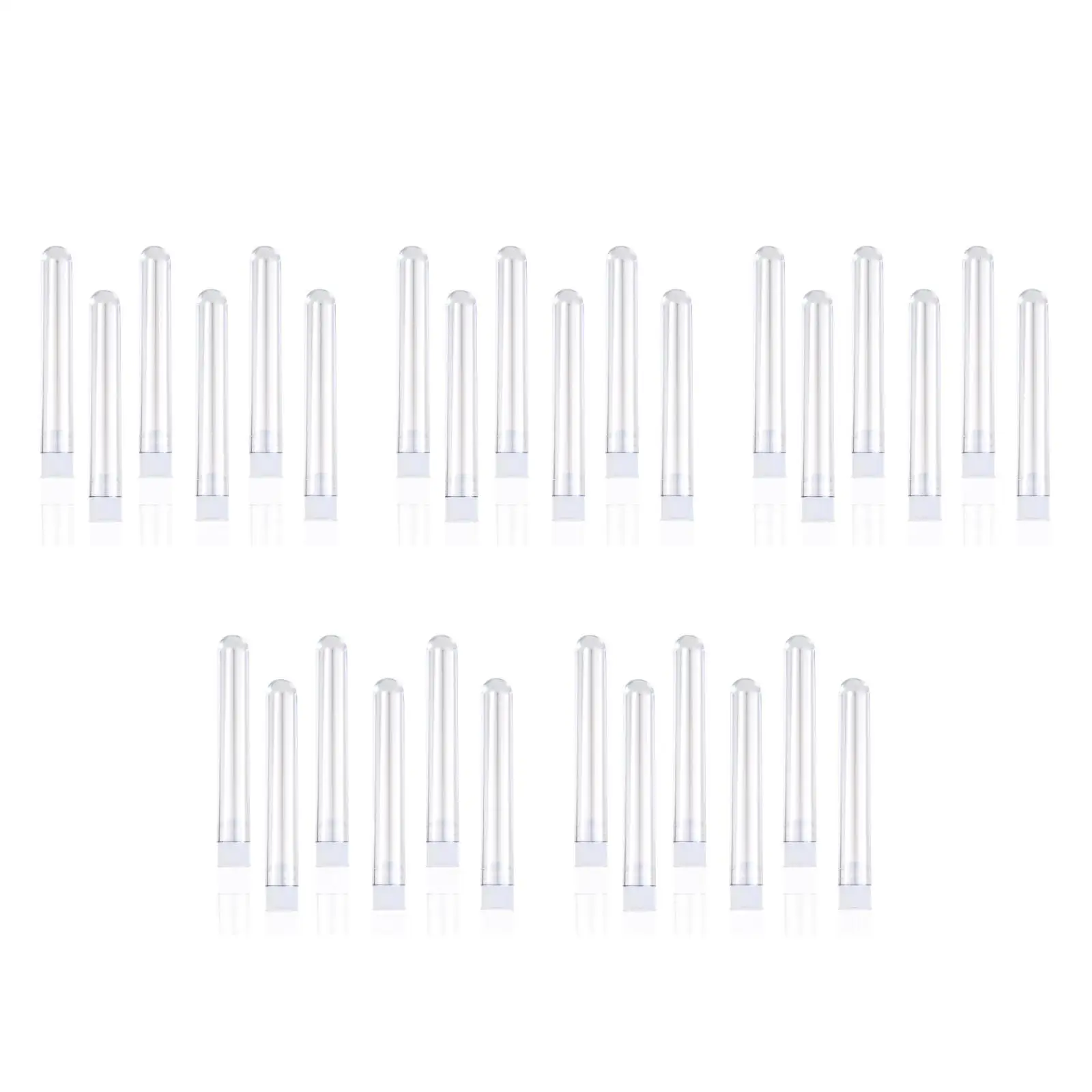 5pcs 5 PCS Scientific Test Tube Tubes Experiment Container with Lids Clear Small Containers