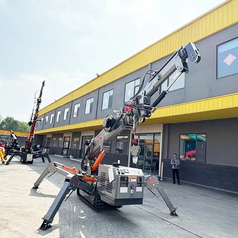 Customized Telescopic Boom Hydraulic Remote Control Compact Crawler Mini Arm Installation Portable Spider Crane Europe Wirh Fly